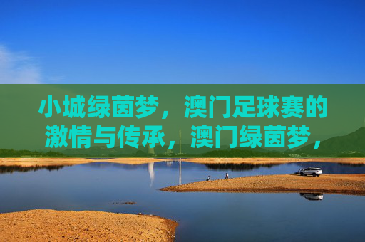 小城绿茵梦，澳门足球赛的激情与传承，澳门绿茵梦，小城足球的激情与传承