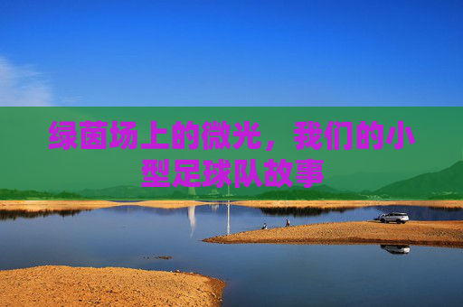 绿茵场上的微光,我们的小型足球队故事