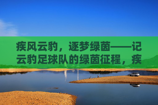 疾风云豹，逐梦绿茵——记云豹足球队的绿茵征程，疾风云豹逐梦绿茵