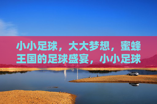 小小足球,大大梦想,蜜蜂王国的足球盛宴,小小足球,大大梦想,蜜蜂王国足球盛宴