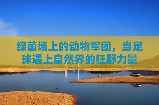 绿茵场上的动物军团,当足球遇上自然界的狂野力量