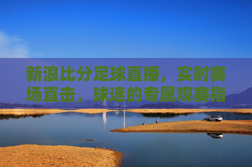新浪比分足球直播,实时赛场直击,球迷的专属观赛指南,新浪比分足球直播,实时赛场直击,球迷专属观赛指南