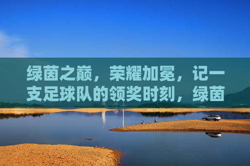 绿茵之巅，荣耀加冕，记一支足球队的领奖时刻，绿茵之巅，荣耀加冕，足球队领奖时刻