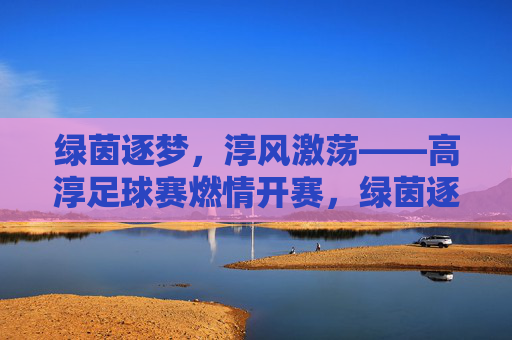 绿茵逐梦,淳风激荡——高淳足球赛燃情开赛,绿茵逐梦淳风激荡,高淳足球赛燃情开赛