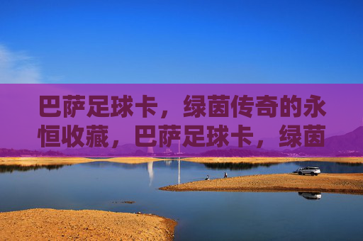 巴萨足球卡，绿茵传奇的永恒收藏，巴萨足球卡，绿茵传奇的永恒珍藏