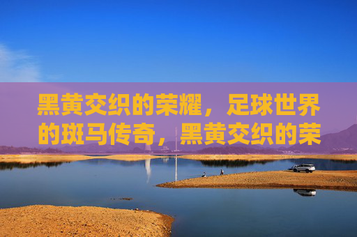 黑黄交织的荣耀，足球世界的斑马传奇，黑黄交织的荣耀，斑马足球传奇