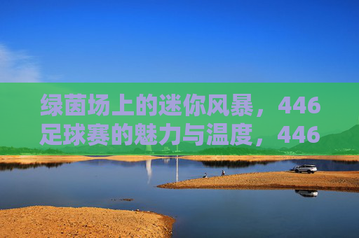 绿茵场上的迷你风暴，446足球赛的魅力与温度，446足球赛，绿茵风暴里的魅力与温度