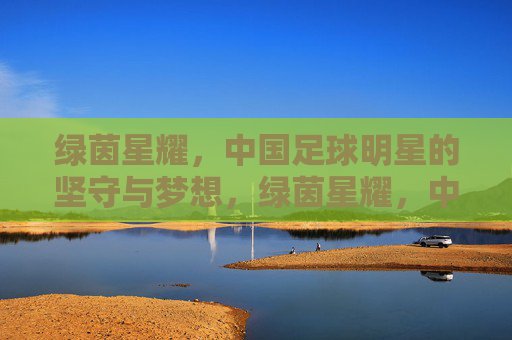 绿茵星耀,中国足球明星的坚守与梦想,绿茵星耀,中国足球明星的坚守与梦想