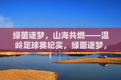绿茵逐梦，山海共燃——温岭足球赛纪实，绿茵逐梦，山海共燃——温岭足球赛