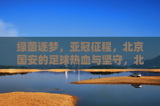 绿茵逐梦，亚冠征程，北京国安的足球热血与坚守，北京国安亚冠逐梦，绿茵热血与坚守之路