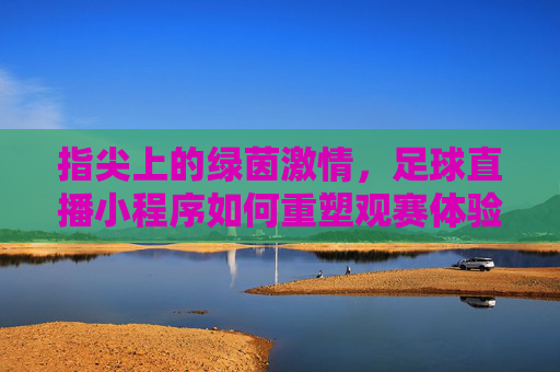指尖上的绿茵激情,足球直播小程序如何重塑观赛体验,指尖绿茵,小程序重塑足球直播观赛体验