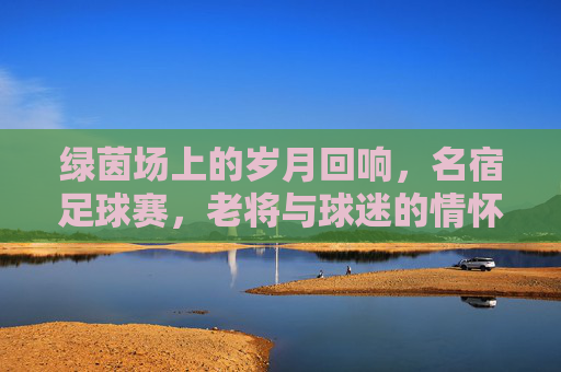 绿茵场上的岁月回响,名宿足球赛,老将与球迷的情怀之约,绿茵岁月回响,名宿与球迷的情怀之约