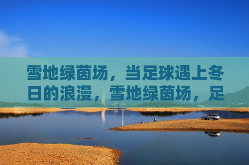 雪地绿茵场,当足球遇上冬日的浪漫,雪地绿茵场,足球与冬日的浪漫邂逅