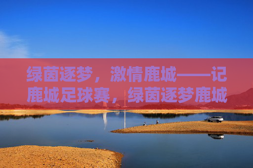 绿茵逐梦,激情鹿城——记鹿城足球赛,绿茵逐梦鹿城,足球激情澎湃