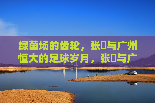 绿茵场的齿轮,张赟与广州恒大的足球岁月,张赟与广州恒大的绿茵齿轮岁月