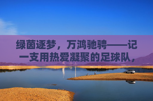 绿茵逐梦，万鸿驰骋——记一支用热爱凝聚的足球队，绿茵逐梦，热爱驰骋
