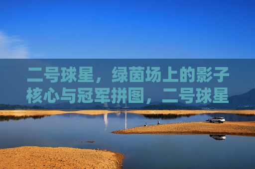 二号球星,绿茵场上的影子核心与冠军拼图,二号球星,绿茵场上的影子核心与冠军拼图