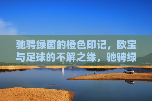 驰骋绿茵的橙色印记，欧宝与足球的不解之缘，驰骋绿茵的橙色印记，欧宝与足球的不解之缘