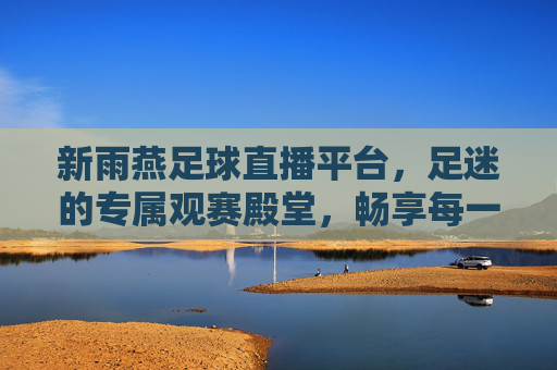 新雨燕足球直播平台,足迷的专属观赛殿堂,畅享每一刻激情,新雨燕,足迷专属观赛殿堂,畅享每一刻足球激情