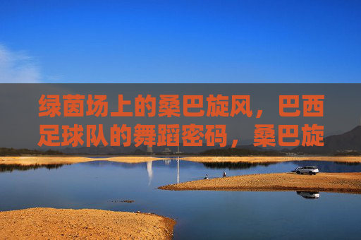 绿茵场上的桑巴旋风,巴西足球队的舞蹈密码,桑巴旋风,巴西足球队的舞蹈密码