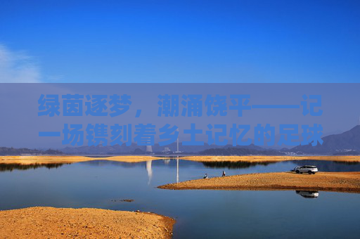 绿茵逐梦，潮涌饶平——记一场镌刻着乡土记忆的足球盛宴，绿茵逐梦，潮涌饶平——乡土记忆足球盛宴
