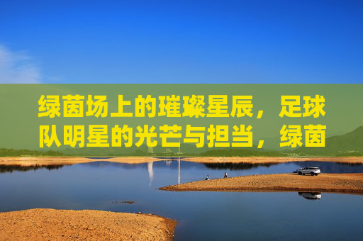 绿茵场上的璀璨星辰，足球队明星的光芒与担当，绿茵星辰，足球队明星的光芒与担当