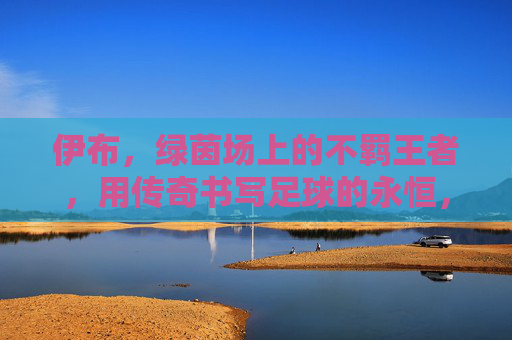 伊布，绿茵场上的不羁王者，用传奇书写足球的永恒，不羁王者伊布，书写足球永恒传奇
