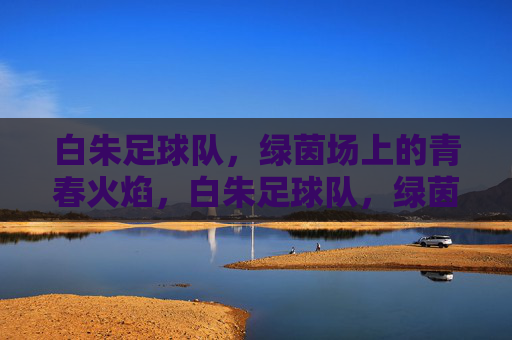 白朱足球队,绿茵场上的青春火焰,白朱足球队,绿茵场上的青春火焰