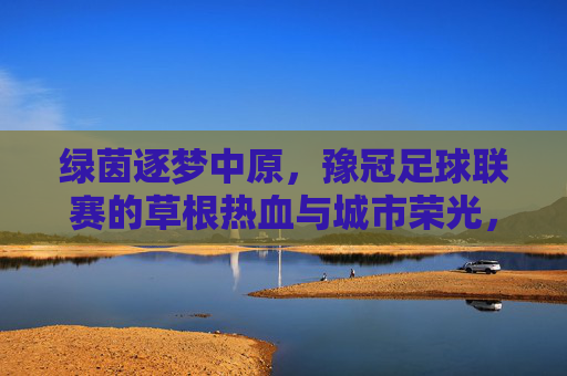 绿茵逐梦中原,豫冠足球联赛的草根热血与城市荣光,绿茵逐梦中原,豫冠联赛草根热血铸城市荣光
