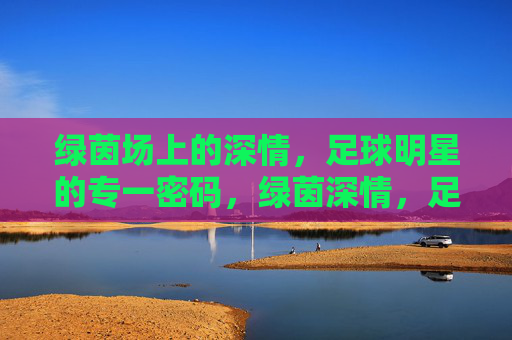绿茵场上的深情,足球明星的专一密码,绿茵深情,足球明星的专一密码