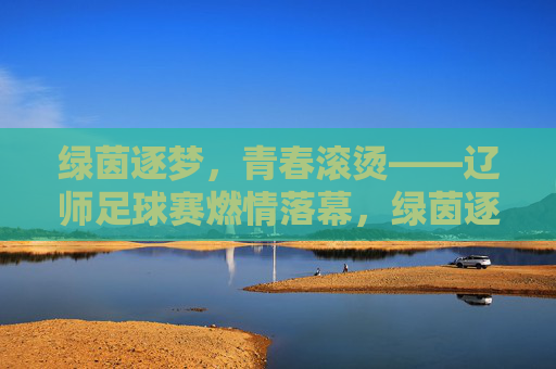 绿茵逐梦,青春滚烫——辽师足球赛燃情落幕,绿茵逐梦,青春滚烫——辽师足球赛燃情落幕