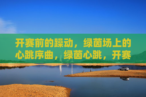 开赛前的躁动,绿茵场上的心跳序曲,绿茵心跳,开赛前的序曲