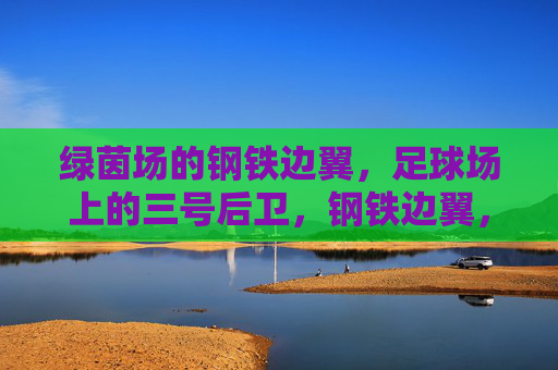 绿茵场的钢铁边翼,足球场上的三号后卫,钢铁边翼,绿茵场上的三号后卫