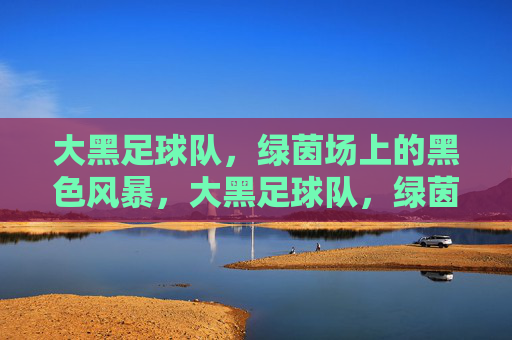 大黑足球队,绿茵场上的黑色风暴,大黑足球队,绿茵场上的黑色风暴