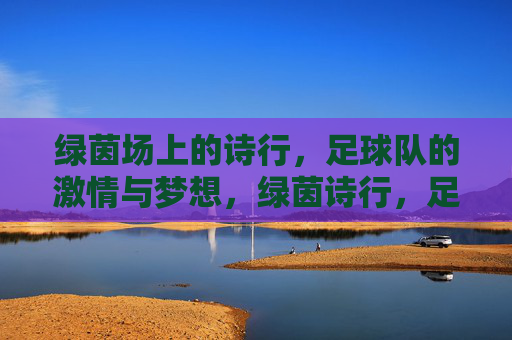 绿茵场上的诗行，足球队的激情与梦想，绿茵诗行，足球队的激情与梦想