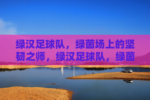绿汉足球队,绿茵场上的坚韧之师,绿汉足球队,绿茵场上的坚韧之师