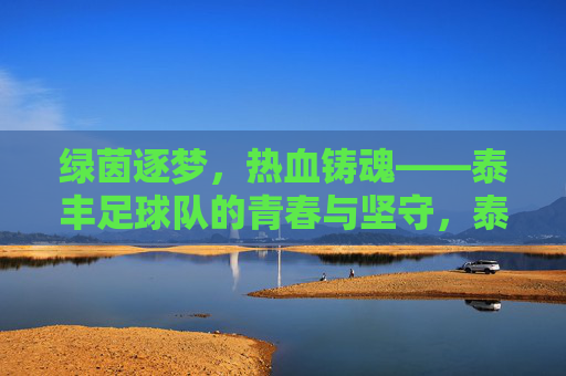 绿茵逐梦,热血铸魂——泰丰足球队的青春与坚守,泰丰足球队,绿茵逐梦,青春坚守