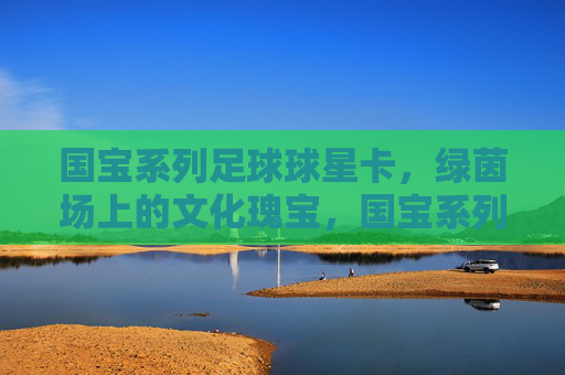 国宝系列足球球星卡,绿茵场上的文化瑰宝,国宝系列足球球星卡,绿茵文化瑰宝