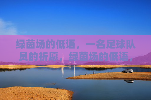 绿茵场的低语，一名足球队员的祈愿，绿茵场的低语，球员祈愿