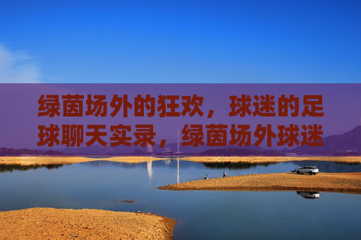 绿茵场外的狂欢，球迷的足球聊天实录，绿茵场外球迷足球狂欢聊天实录
