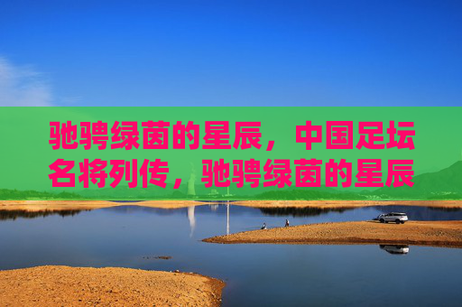 驰骋绿茵的星辰，中国足坛名将列传，驰骋绿茵的星辰，中国足坛名将列传