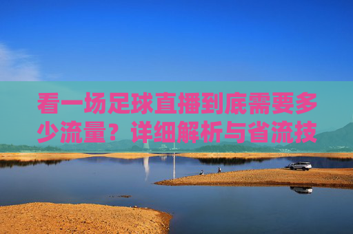 看一场足球直播到底需要多少流量？详细解析与省流技巧，看足球直播需多少流量？详细解析与省流技巧