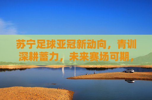 苏宁足球亚冠新动向，青训深耕蓄力，未来赛场可期，苏宁足球亚冠新动向，青训深耕蓄力，未来赛场可期