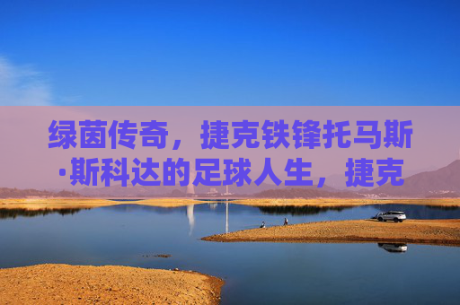 绿茵传奇，捷克铁锋托马斯·斯科达的足球人生，捷克铁锋托马斯·斯科达，绿茵传奇足球人生