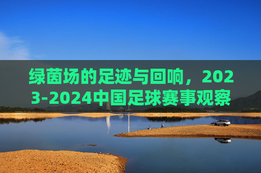 绿茵场的足迹与回响,2023-2024中国足球赛事观察,绿茵足迹与回响,2023-2024中国足球赛事观察