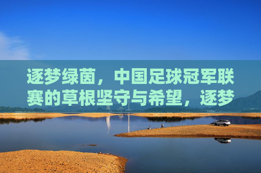 逐梦绿茵，中国足球冠军联赛的草根坚守与希望，逐梦绿茵，草根坚守，中国足球冠军联赛的希望