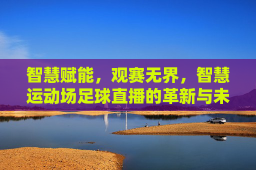 智慧赋能,观赛无界,智慧运动场足球直播的革新与未来,智慧赋能,观赛无界,足球直播的革新与未来