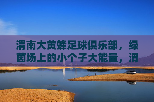 渭南大黄蜂足球俱乐部,绿茵场上的小个子大能量,渭南大黄蜂,绿茵场小个子的大能量
