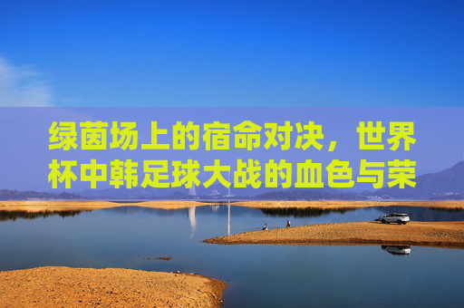绿茵场上的宿命对决，世界杯中韩足球大战的血色与荣光，世界杯中韩宿命对决，血色与荣光