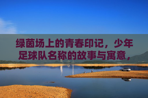 绿茵场上的青春印记,少年足球队名称的故事与寓意,绿茵少年队名记,青春印记与故事